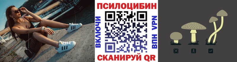 блэк спрут вход Котельнич Галлюциногенные грибы мухоморы
